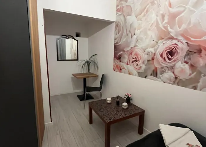 Spring Roses Downtown Boutique Apartment On The Famous Vaci Fashion Street Free Coffee, Tee Budapest, Hungary